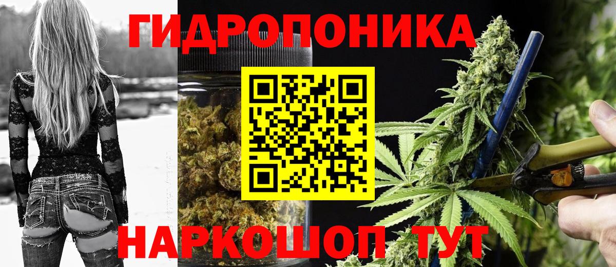 Марихуана план Пушкино
